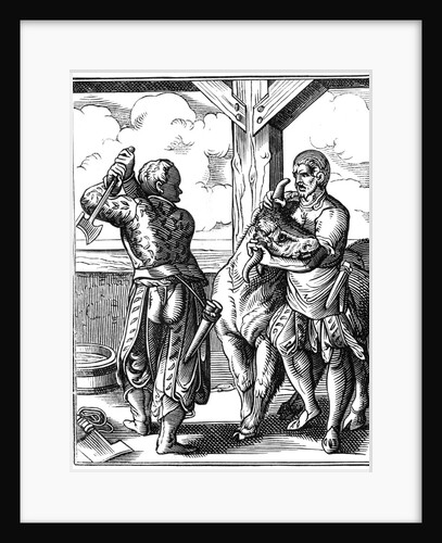 16th century butcher by Anonymous