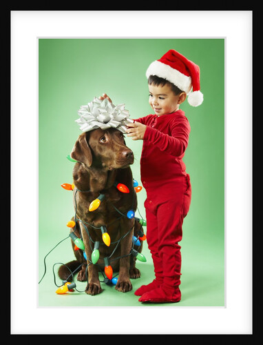 Young boy wrapping Christmas lights around a dog by Anonymous