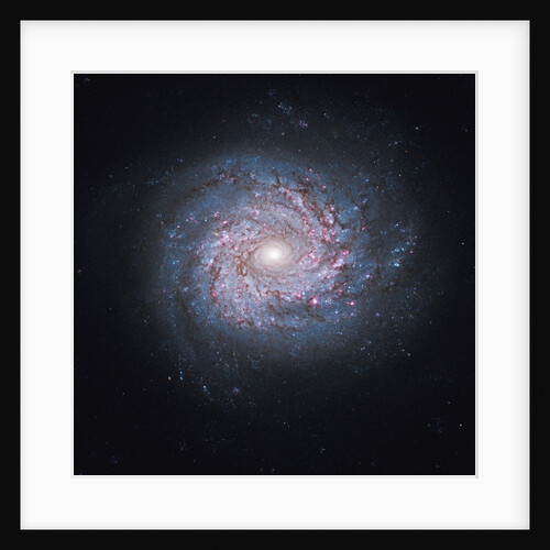 Face-on spiral galaxy NGC 3982 by Anonymous