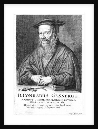 Conrad Gesner by Anonymous