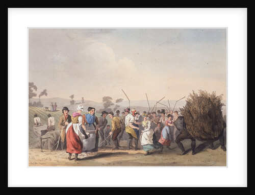 Harvesters threshing rape by Anonymous