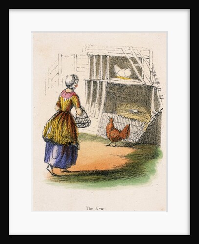 Woman collecting chicken eggs by Anonymous