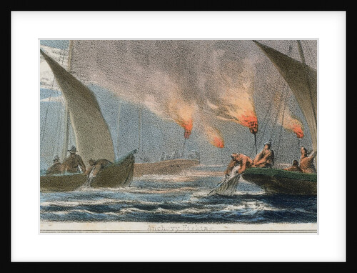 Anchovy fishing by Anonymous