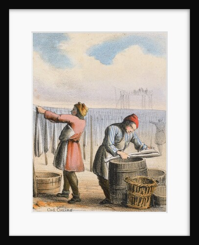 Men curing cod by Anonymous