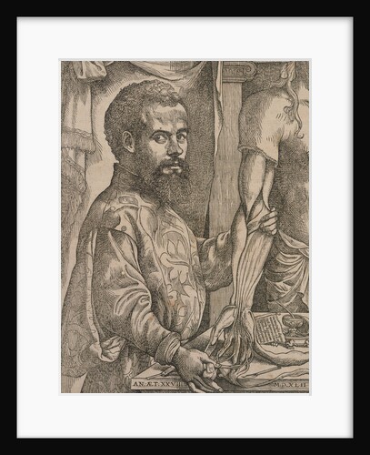 Andreas Vesalius dissecting the muscles of cadaver by Anonymous