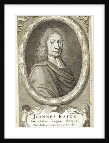 John Ray by Anonymous