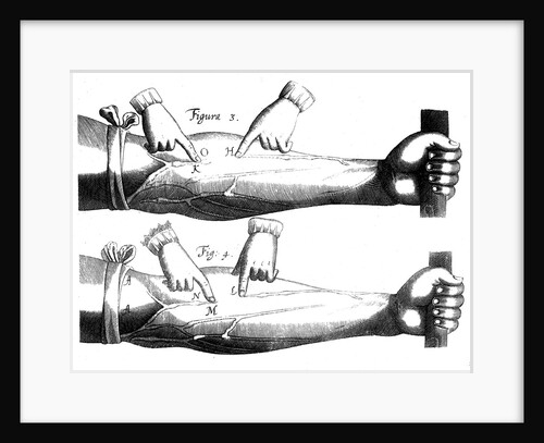 Circulation of the blood by Anonymous