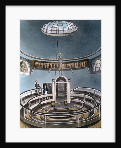 Anatomy theater at University of Cambridge by Anonymous