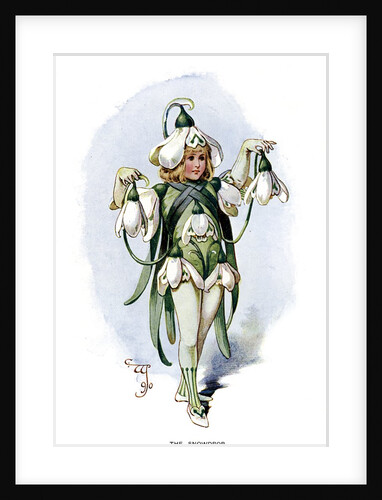 The Snowdrop by Anonymous