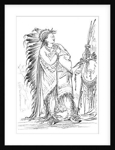 Two Crows by George Catlin