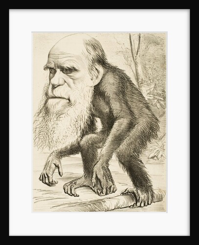 Caricature of Charles Darwin by Anonymous