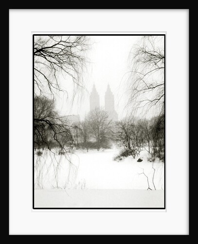 Central Park Snow by Anonymous