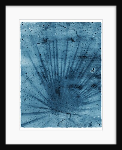 Palmetto Palm by Anonymous