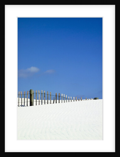 Little Talbot Island by Anonymous