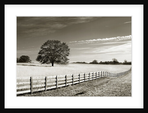 Newnan by Anonymous