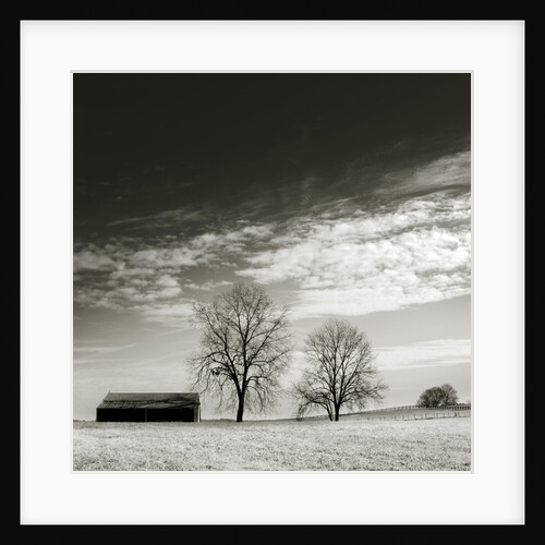 Newnan by Anonymous