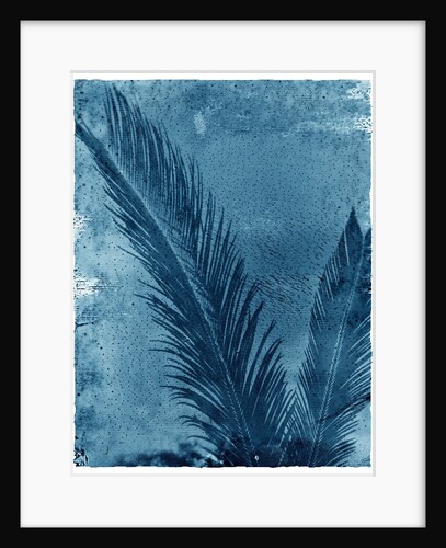 Sago Palm by Anonymous