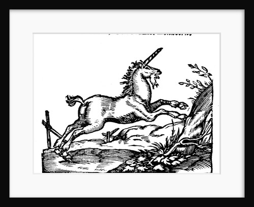 Unicorn by Anonymous