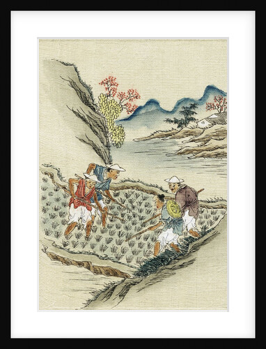 Workers cultivating rice by Anonymous
