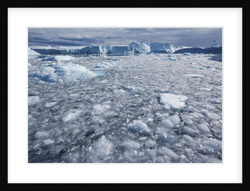 Jakobshavn Glacier on Disko Bay in Greenland by Anonymous
