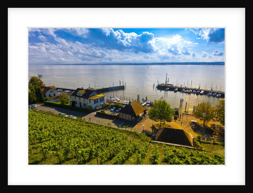 Vineyards, the medieval city of Meersburg on Lake Constance (Bodensee), Baden-W?rttemberg, Germany by Anonymous