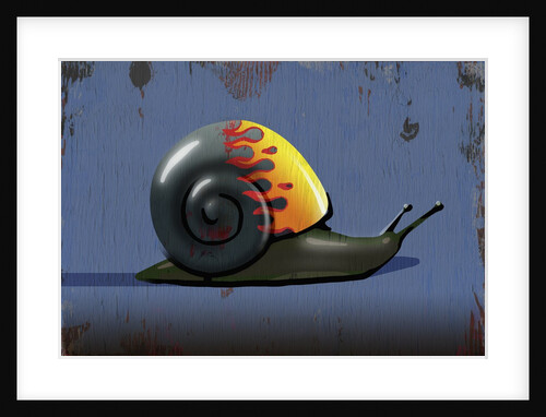 Hot Rod Snail by Anonymous