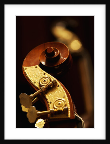 Double bass headstock by Anonymous