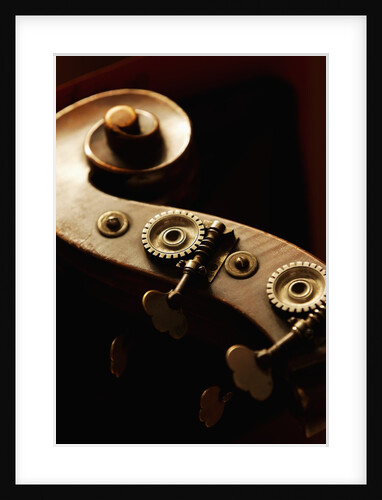 Double bass headstock by Anonymous