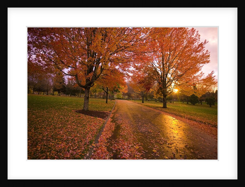Sunset in autumn along a country road by Anonymous