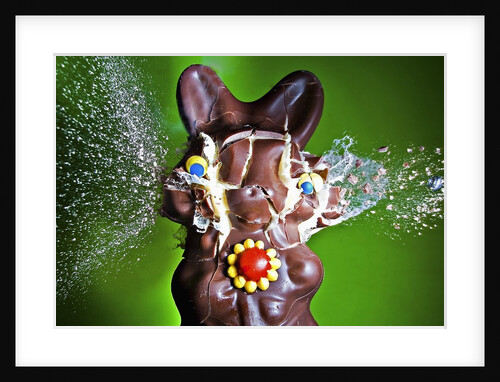 Dum Dum Bunny by Anonymous