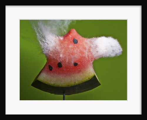 Watermelon Explosion by Anonymous
