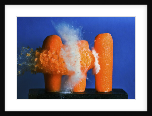 Carrot Catastrophe by Anonymous