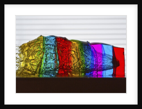 Jello Shot by Anonymous