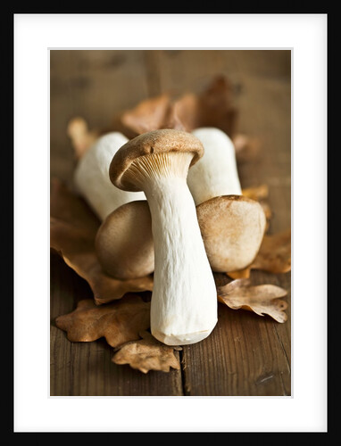 Fresh king oyster mushrooms on autumn leaves by Anonymous