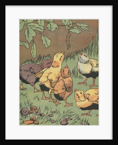 Illustration of chicks looking at caterpillar by Anonymous
