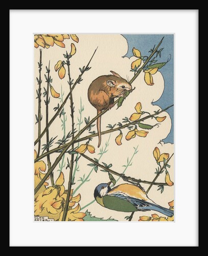 Illustration of mouse and bird feeding on branches by Anonymous