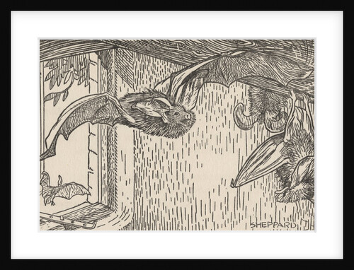 Illustration of bats inside house by Anonymous