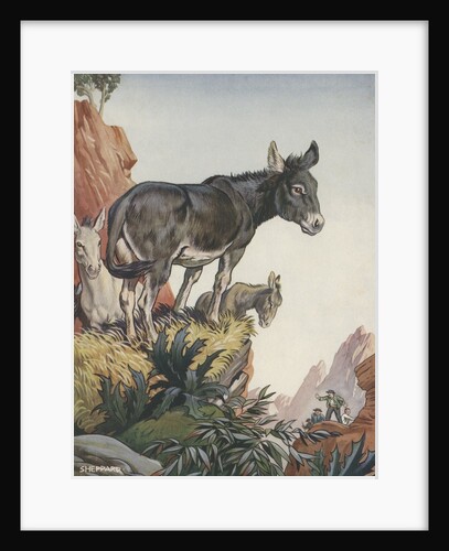 Illustration of donkeys in canyon by Anonymous