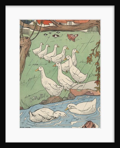 Illustration of white geese in rain by Anonymous
