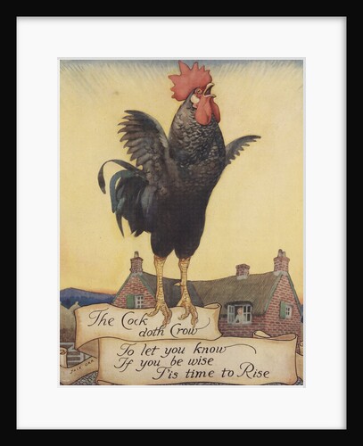 Illustration of rooster crowing by Anonymous