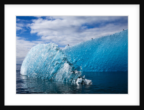 Melting Blue Iceberg, Alaska by Anonymous