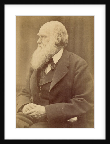 Charles Darwin by Anonymous