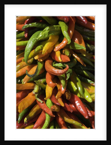 Chile peppers by Anonymous