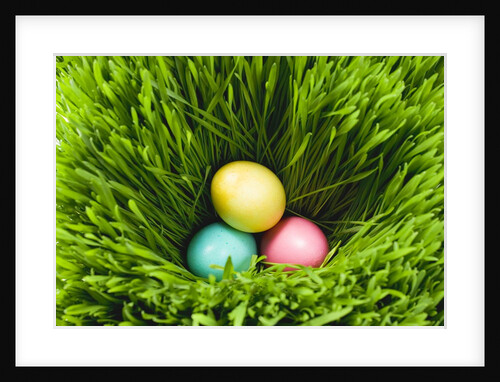 Three Easter eggs in grass by Anonymous