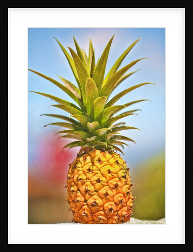 Pineapple by Anonymous