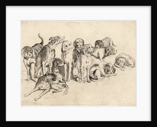 Study of Eleven Hounds by Wenceslas Hollar