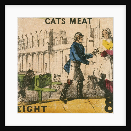 Cats Meat by T.H. Jones