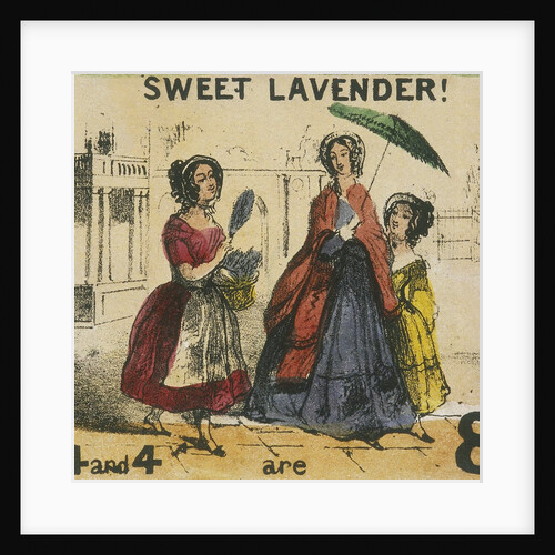 Sweet Lavender! by T.H. Jones