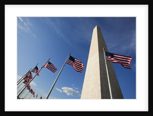 American flags encircling Washington Monument by Anonymous