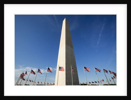 American flags encircling Washington Monument by Anonymous